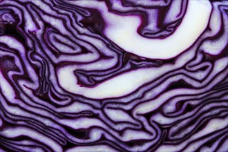 Red cabbage