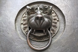 Door knocker with a lion's head