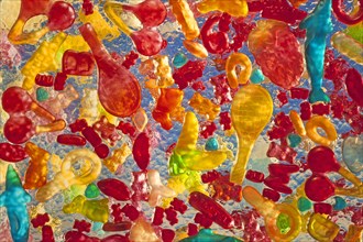 Various colorful fruit gums