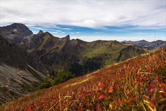 Autumn meadow with mountains of Vorarlberg