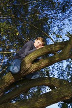 Boy sitting on tree