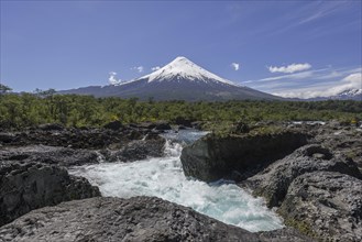 Waterfall of the Rio Petrohue and the Osorno volcano