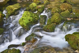 Doser waterfall in Haselgehr