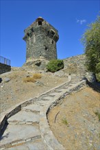 Tour de Nonza Pisan Tower