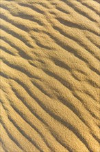 Wave pattern in the sand