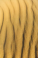 Wave pattern in the sand