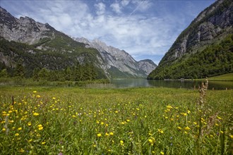 Alpine meadow with view of Lake Konigssee