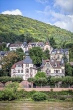 Historic buildings on the banks of the Neckar river