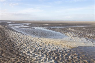 Low tide in the Lower Saxon Wadden Sea National Park