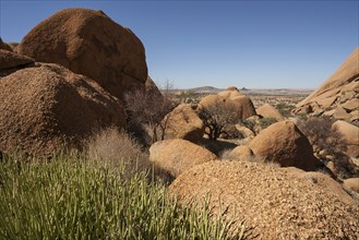 Rocks and vegetation in the Spitzkoppe area