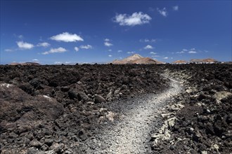 Path through a lava field