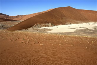 Sand dunes