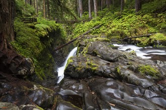 Sol Duc Falls in the Sol Duc River Valley