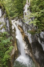 Tatzelwurm Waterfall