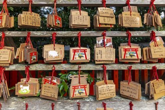 Written wishes to deities on small wooden boards