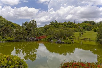 Lake in the Japanese Garden at the Jardin Botanico National Dr. Rafael Maria Moscoso