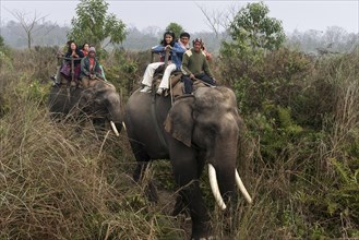 Mahouts and Asian tourists riding elephants in the Chitwan National Park