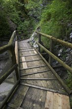 Wooden boardwalk in the Nothklamm gorge