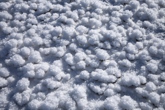 Ice crystals on snow-covered meadow
