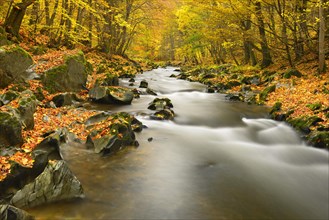 Schwarza River in the autumn