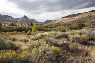 A hill of the Painted Hills