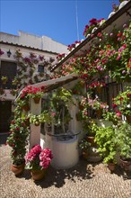 Flower-bedecked inner courtyard during the Fiesta de los Patios