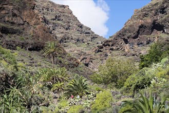 Barranco de Argaga gorge