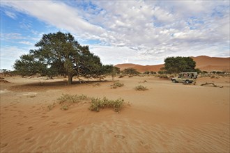 Landscape with Safari car on the dunes of the Sossusvlei