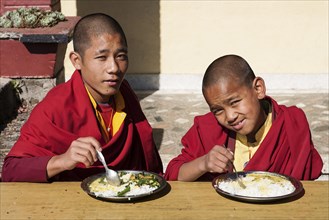 Two novice monks eating a rice dish in the Buddhist Thrangu Tashi Yangtse Monastery near Namo Buddha