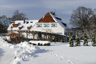 The Inselwirt Hotel and Guesthouse in winter