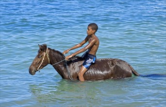Boy on horseback in the sea