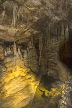 Lehman Cave