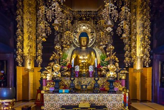 Golden Buddha Statue in Chion-in Temple
