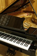 Steinway & Sons grand piano