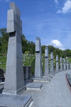 Soldiers graves