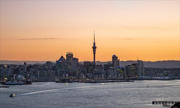 Skyline of Auckland at sunset