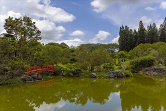 Lake in the Japanese Garden at the Jardin Botanico National Dr. Rafael Maria Moscoso