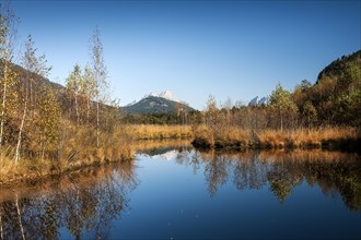 Libellenteich pond in autumn