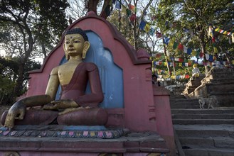 Climb to the Swayambhunath Stupa