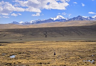 Woman alone walking in the plateau with the Cordillera Real on the back