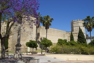 Alcazar de Jerez