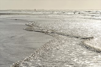 Sparkling water on the wet sand