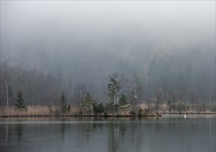 Foggy atmosphere on Almsee lake
