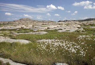 Landscape in the Ramsviklandet Nature Reserve