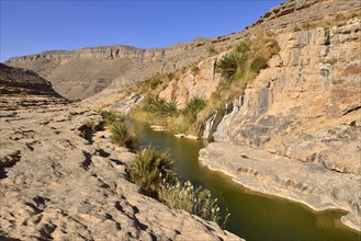 Water in a guelta in Idaran Canyon
