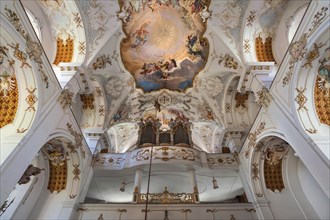 Frescoed ceilings and organ loft