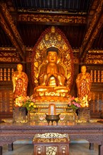 Golden Buddha statue and relics inside the Giant Wild Goose Pagoda