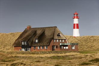 The red and white lighthouse of List Ost and a thatched house on the Ellenbogen peninsula