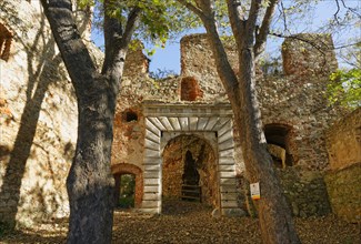 Burgruine Landsee castle ruins