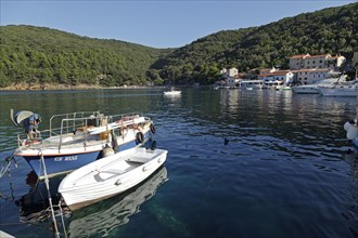 Boats in the harbour